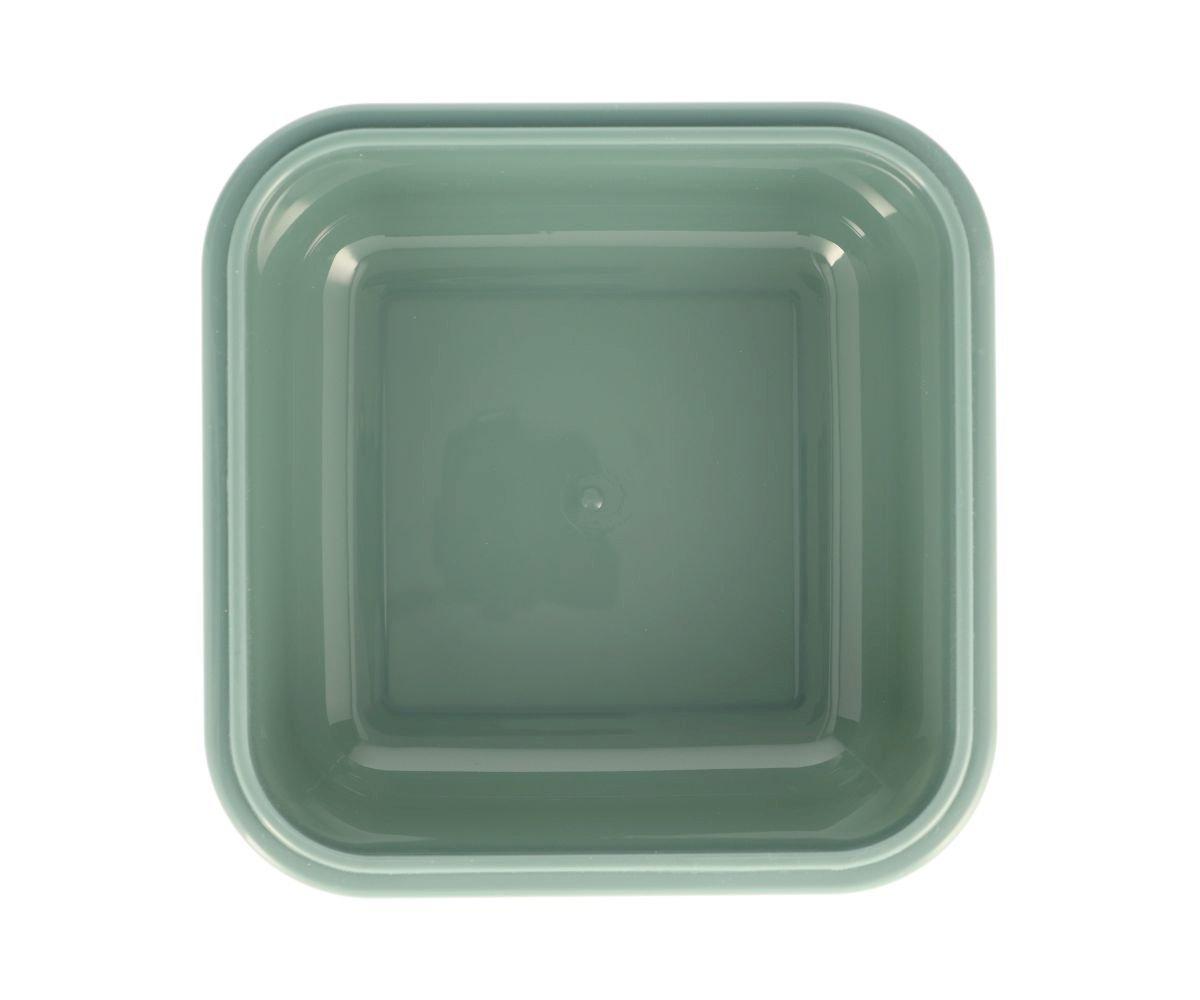 Tutete | Große Lunchbox Dinos World