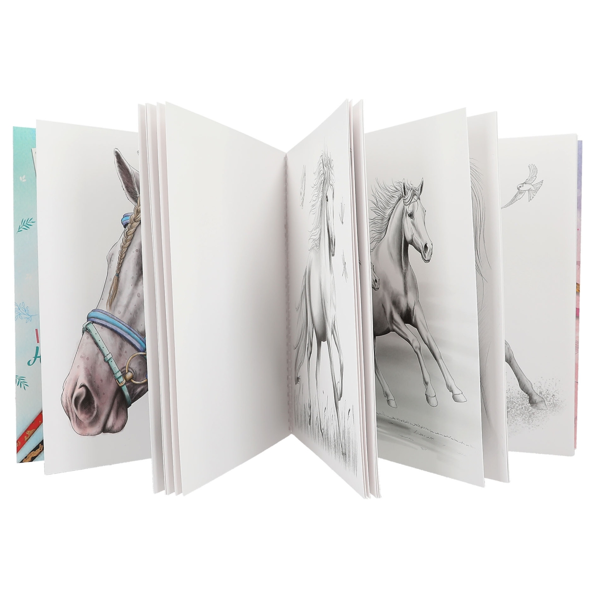 Depesche | Miss Melody Special Malbuch